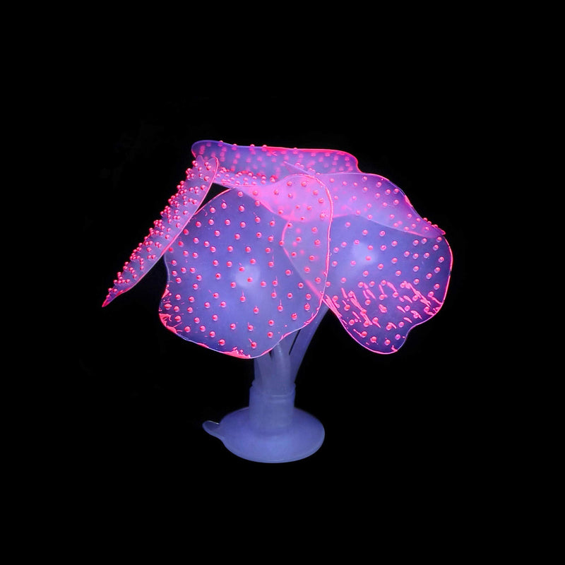 Filhome Glowing Fish Tank Decorations Plants, 4 pcs Glow Aquarium Decorations, Glowing Mushroom Coral Plant Ornaments Mushroom, Strip coral, Coral, Anemone - BeesActive Australia