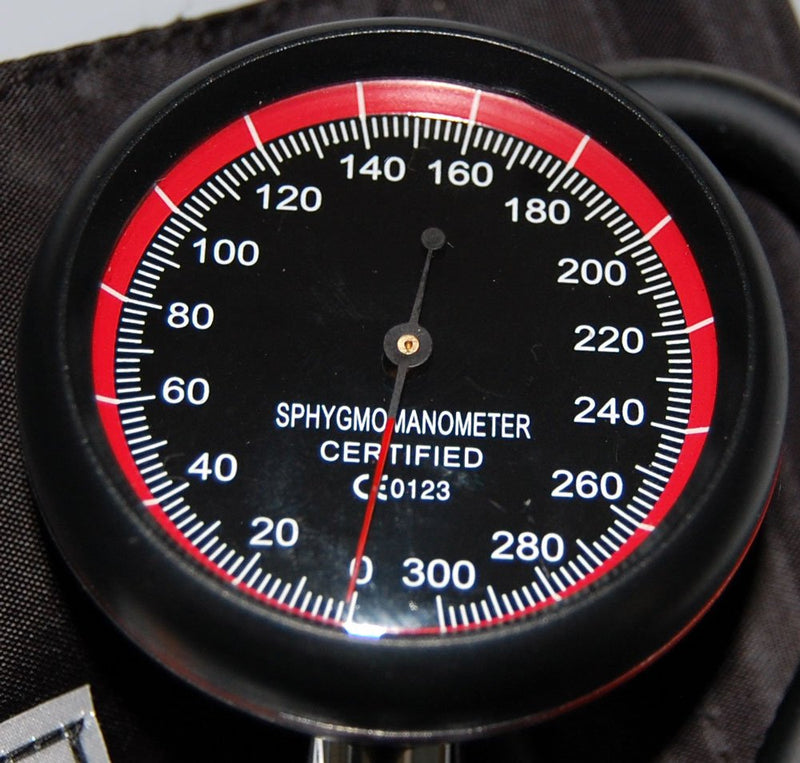 Valuemed Aneroid Palm Sphygmomanometer Clinical Sphyg Adult Cuff Pro CE & FDA Approved - BeesActive Australia