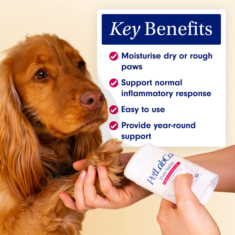 PetLab Co. Paw Balm for Dogs - Moisturizes and Supports Dry Paws - Easy to Use Paw Soother for Dogs of All Ages - Dog Paw Wax - BeesActive Australia