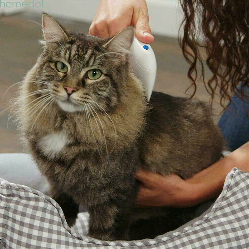 Pet combs, electric pet combs, cat combs/dog combs, grooming combs can effectively remove floating hair, suitable for long-haired and short-haired babies such as cats/dogs/rabbits/totoro - BeesActive Australia