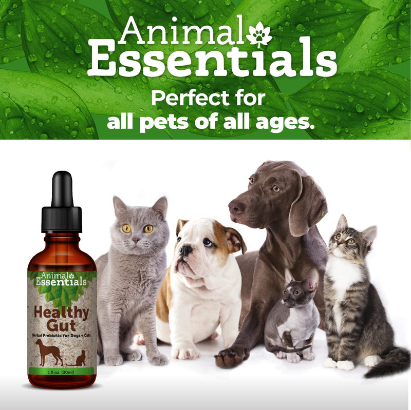 Animal Essentials Healthy Gut - BeesActive Australia