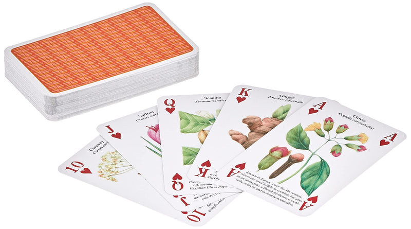 Spices Playing Cards - BeesActive Australia