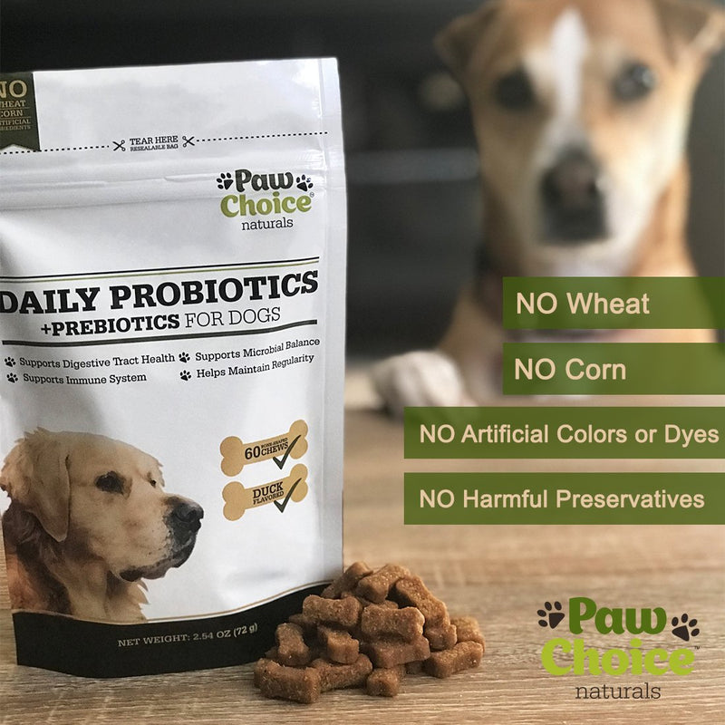 Probiotics for Dogs with Prebiotics - Daily Chews for Digestion, Regularity, Diarrhea Relief, Plus Supports Immune System and Health - Natural Supplement and Treat Made in USA - BeesActive Australia