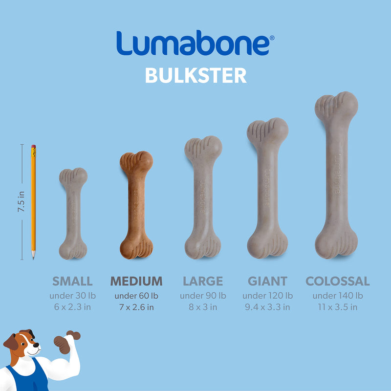 Lumabone Bulkster Durable Chew Toy for Aggressive Chewers, Made in USA REAL Bacon Medium - BeesActive Australia