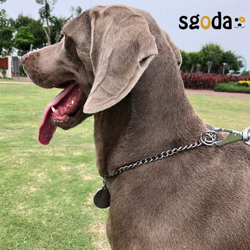 SGODA Chain Dog Training Choke Collar, 304 Stainless Steel 25", 4mm - BeesActive Australia