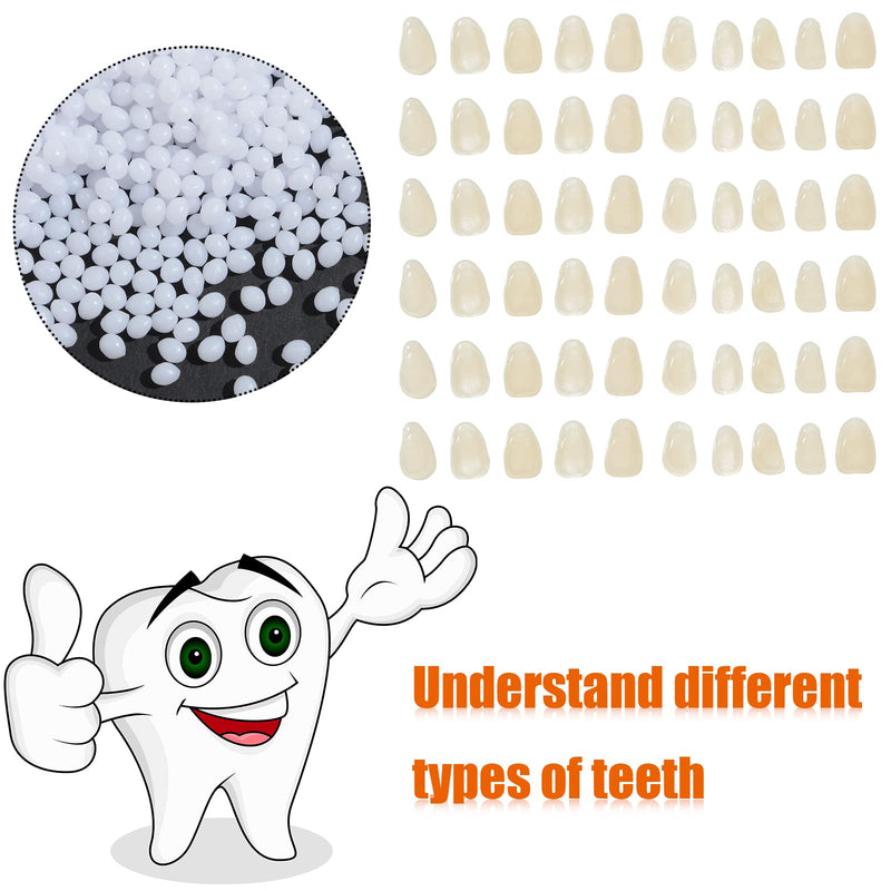 60 Pcs Temporary Tooth Repair Kit Moldable Fake Teeth and 50g Thermal Beads, Multi Use False Teeth Dental Tooth Replacement Do it Yourself Filling Tooth Bead for Fix Missing Broken Tooth Veneer - BeesActive Australia
