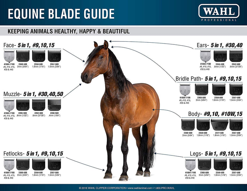 Wahl Professional Animal Ultimate Competition Series Detachable Blade #30 - BeesActive Australia