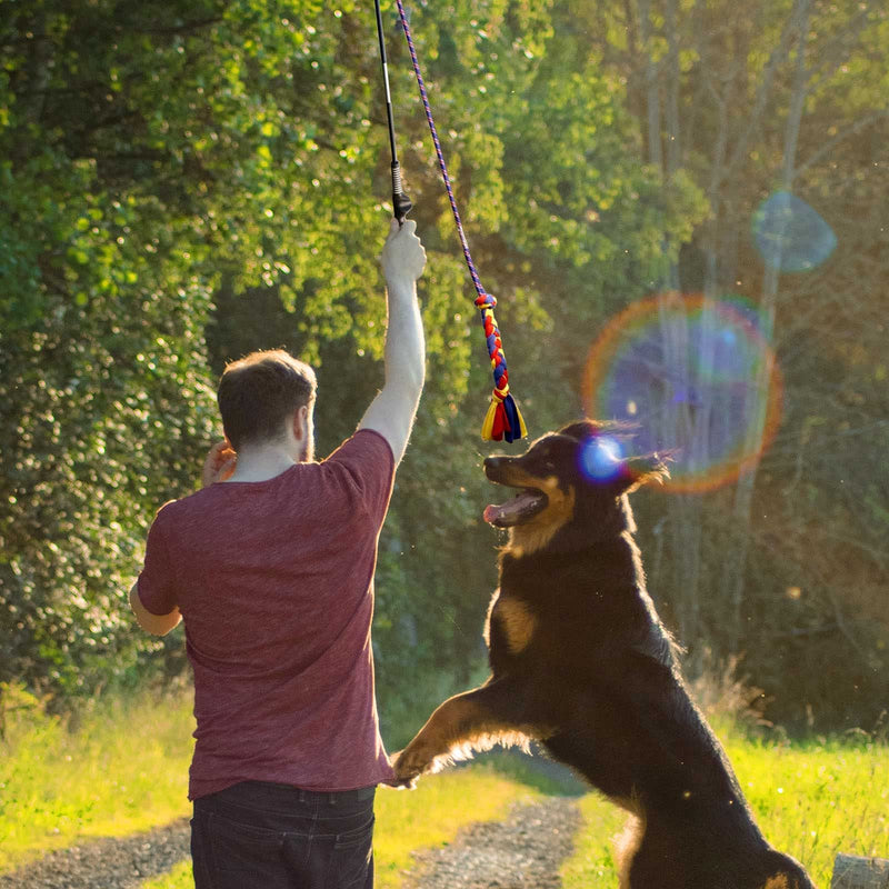 YINOR Flirt Pole for Dogs-Interactive Lures Durable Rope,Chase and Tug of war Puppy Toy，Outdoor Dog Agility Training Equipment Plush，Teaser Chew Pet Kits for Small Medium Dogs - BeesActive Australia