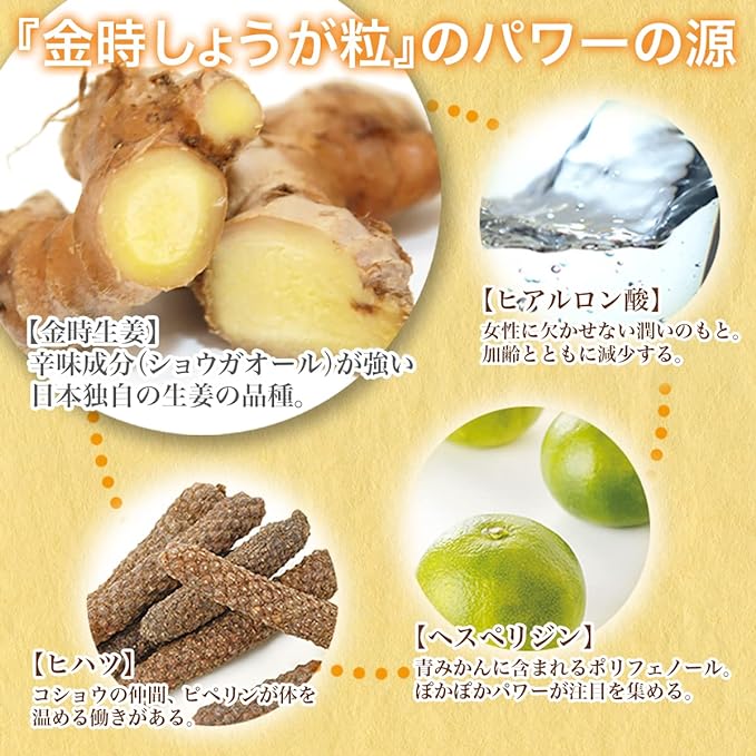 Sanwa Shokuken Kintoki ginger grains 1 bag (60 tablets) 1 month supply - BeesActive Australia