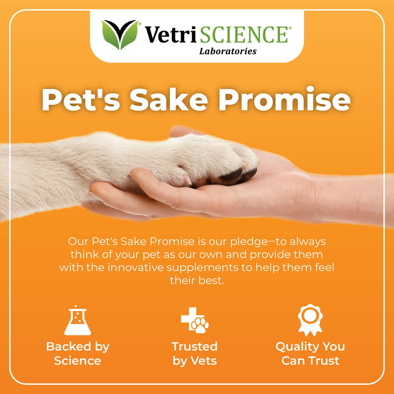 VETRISCIENCE Glycoflex Plus Clinically Proven Hip and Joint Supplement with Glucosamine for Dogs - Advanced Mobility Support with MSM, Chondroitin, and Perna Duck 60 Count - BeesActive Australia