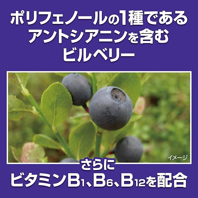 Kobayashi Pharmaceutical's Food with Function Claims Blueberry EX Approximately 30 days supply 60 tablets - BeesActive Australia