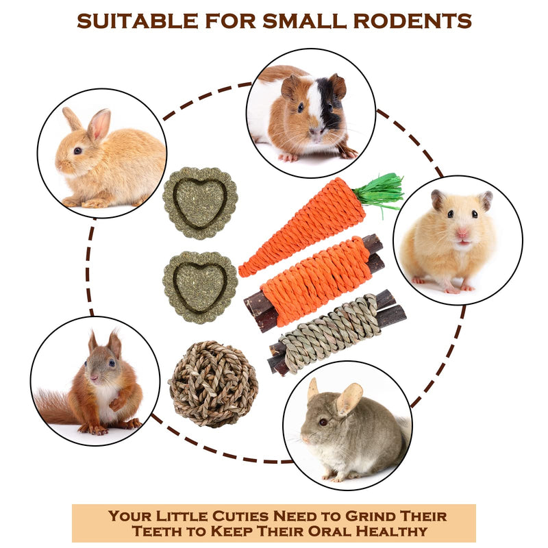VESPRO Rabbit Toys Bunny Toys for Rabbits Hamster Toys Guinea Pig Toys Natural Timothy Hay Chew Treats and Balls for Rabbit, Bunny, Chinchilla, Guinea Pig, Hamster, Bunny Teeth Care Variety Flavor Set-1 - BeesActive Australia