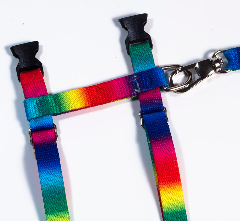 FABATY Cat Harness and Leash Set, Cats Escape Proof - Adjustable Kitten Harness for Large Small Cats and Puppies Lightweight Soft Walking Travel Petsafe Harness Rainbow - BeesActive Australia