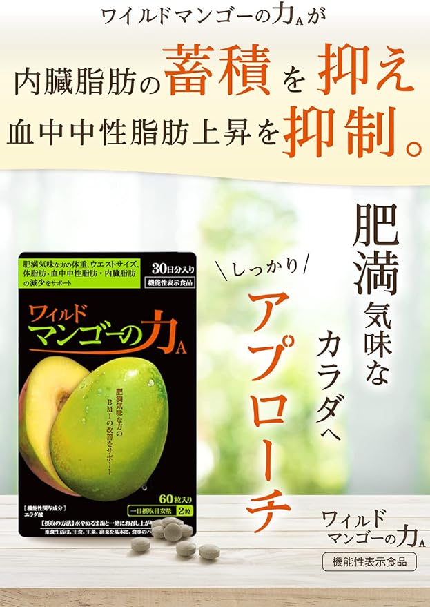 Kameyamado Wild Mango Power A Food with Function Claims 30 days supply 60 tablets [Weight, body fat, blood neutral fat, visceral fat, waist size for overweight people] - BeesActive Australia