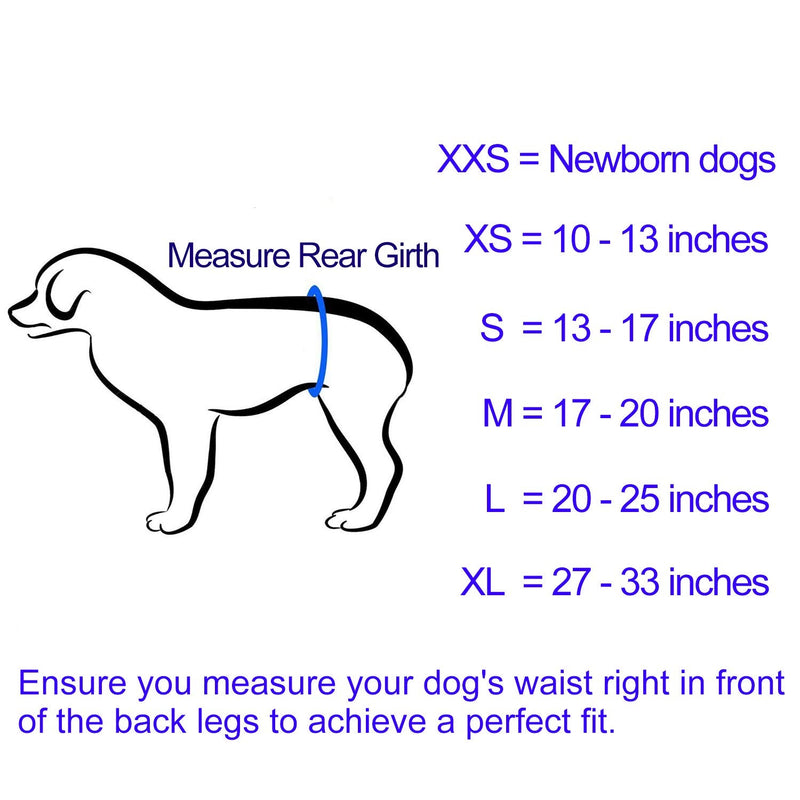 IN HAND Washable Male Dog Diapers(Pack of 3), Premium Reusable Belly Bands for Male Dogs, Durable Male Dog Belly Wrap, Comfy Doggie Diapers S(13"-17") Popular Color - BeesActive Australia