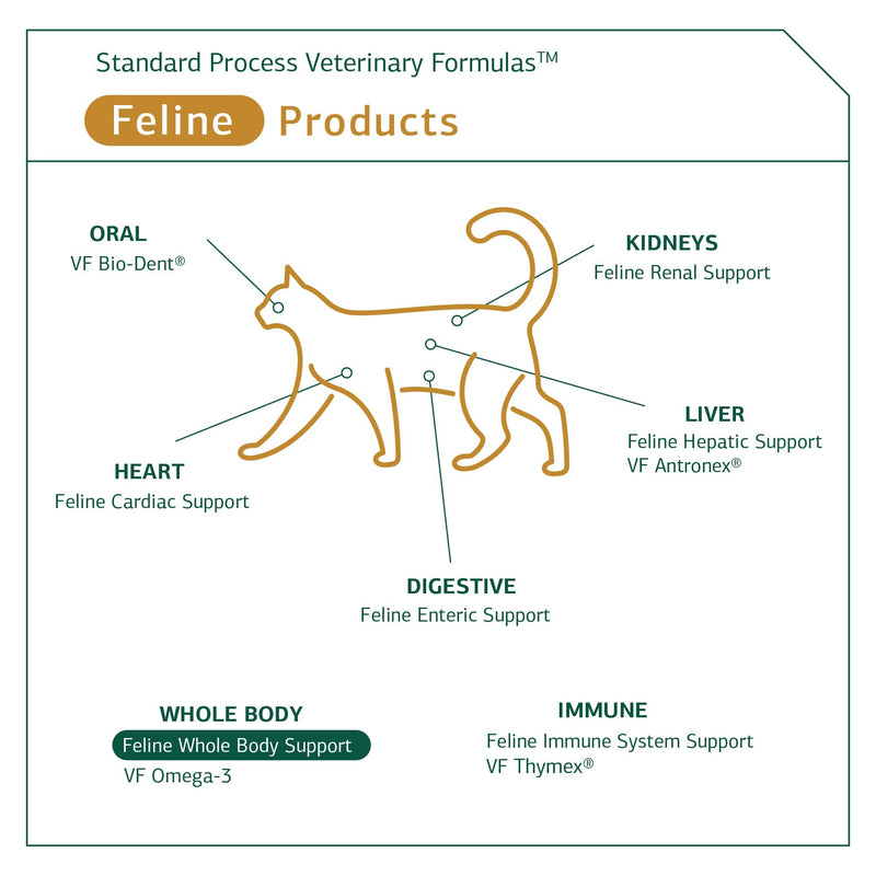 Standard Process - Feline Whole Body Support - Daily Supplement for Cats - 90 Tablets - BeesActive Australia