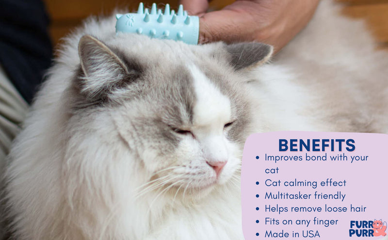 Fur&Purr Cat Grooming Brush & Massager Indoor Cats & Dogs. Kitten Long Hair Removal Comb for Cat Purrs & Scratches Small One Pack - BeesActive Australia