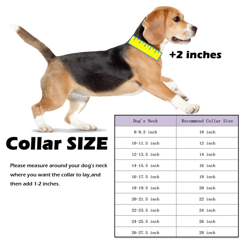 Strong Stainless Steel Gold Dog Collars with Safety Buckle Lock,14MM Cuban Link Chain Training Collar,Dog Necklace Walking Collar for Small Medium & Large Dogs 18 Inch - BeesActive Australia