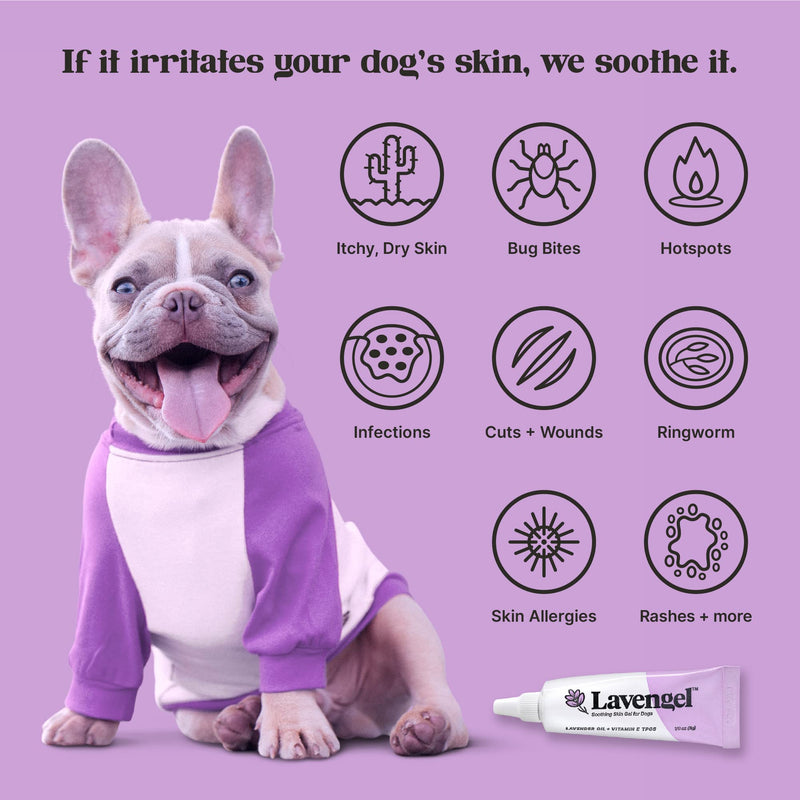 Lavengel Dog Skin Care Gel - Highly Concentrated Antimicrobial Ointment Relieves Itchy Skin and Heals Wounds Naturally, First-Aid for Skin Irritations, Hotspots, Sores, and Acne, We Support Rescues - BeesActive Australia