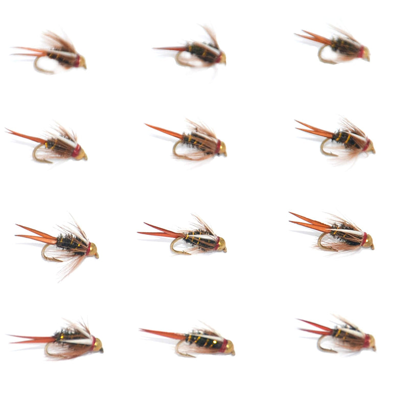 Outdoor Planet Every Season Trout Assortment Dry Flies/Nymph Flies/Attractor/Wet Flies for Trout Fly Fishing Flies 12 Gold Bead Head Prince Nymph - BeesActive Australia