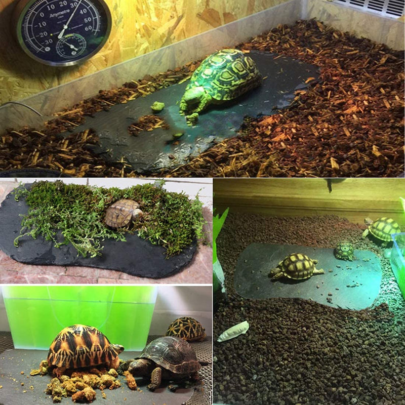 Tfwadmx Reptile Basking Platform,Tortoise Rock Plate Feeding Food Bowl Dish Feeding Slate Turtle Bathing Resting Platform for Lizard Gecko Bearded Dragon Chameleon Snake Frog - BeesActive Australia