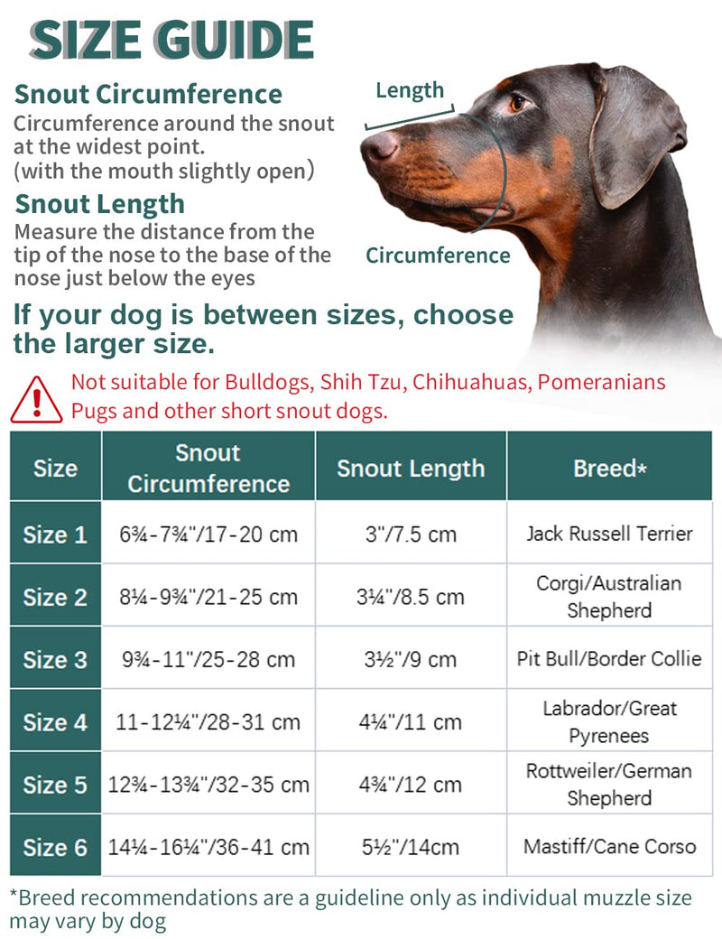 Dog Muzzle, Basket Muzzle for Small Medium Large Dogs, Soft Cage Muzzle for Biting Chewing, Allow Drinking Panting, Muzzle for German Shepherd Pitbull Rottweiler 3 (Snout 9¾-11") Green - BeesActive Australia