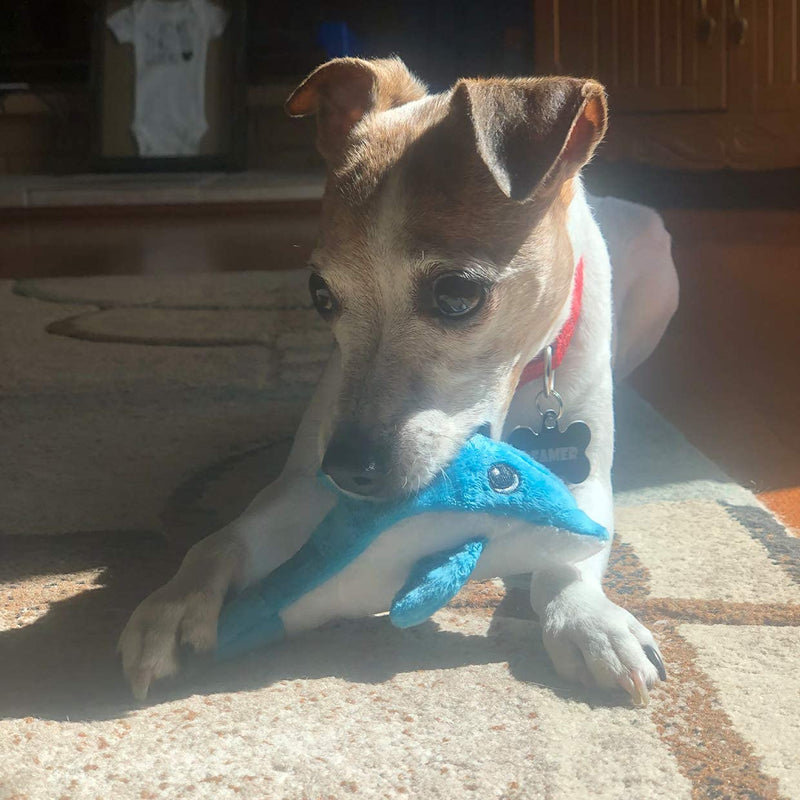 Snuggle Puppy Tender-Tuffs Tiny Hedgehog, Clownfish, and Dolphin Plush Dog Toys Bundle - Tough Marine Animal Squeaky Toys - BeesActive Australia