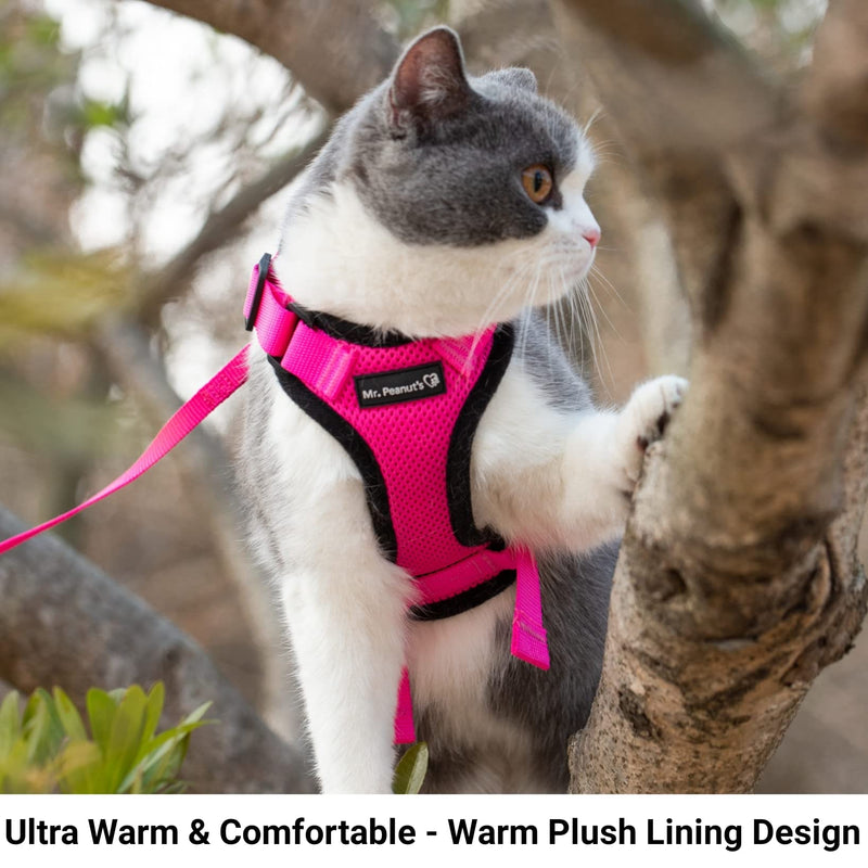 Mr. Peanut's PurrTrek Reflective Cat Harness with Matching Leash Small Pink - BeesActive Australia