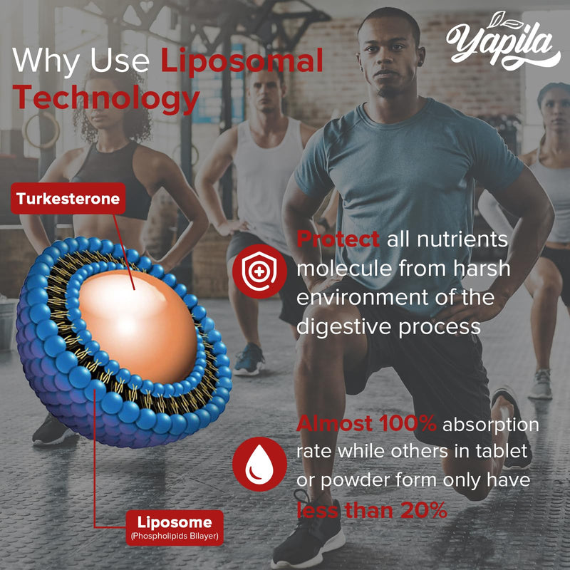 Liposomal Turkesterone Supplement - 1500mg Ajuga Turkestanica Extract, Standardized to 20% Turkesterone, Max Absorption, High Strength for Bodybuilding, No Additives, Non-GMO 60 count (Pack of 1) - BeesActive Australia