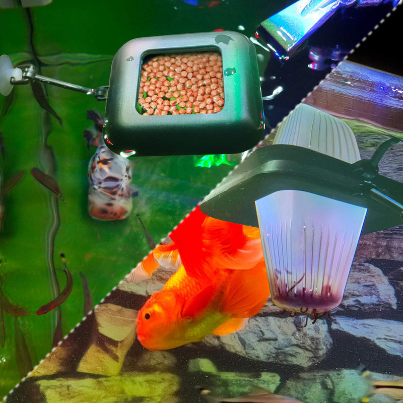 Fischuel Aquarium Feeding Ring Floating Rings Food Feeder Feeding Trough with Suction Cup for Fish Feeder Square-Black - BeesActive Australia