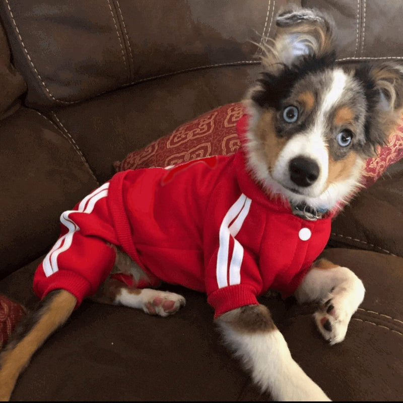 Pet Cat Dog Cute Outfit Clothes Hoodie Jumpsuit Tracksuit Jacket Winter Sweater 4-Legs Style Red for Puppy Small to Medium Dogs Boy and Girl - BeesActive Australia