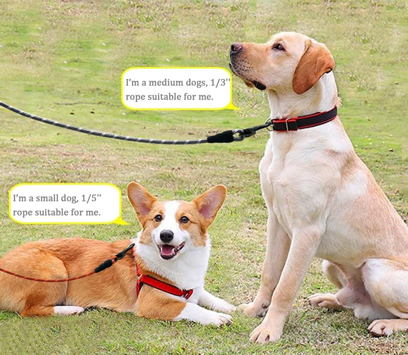 WYuZe 1/5", 1/3" Rope Dog Leash 6 Foot, Lightweight Durable Dog Walking Leash with Rotating Metal Clip, Multi-Color Pet Leash for Small Medium Dogs, Cats, Small Animals Blue 1/5'' x 6 FT - BeesActive Australia