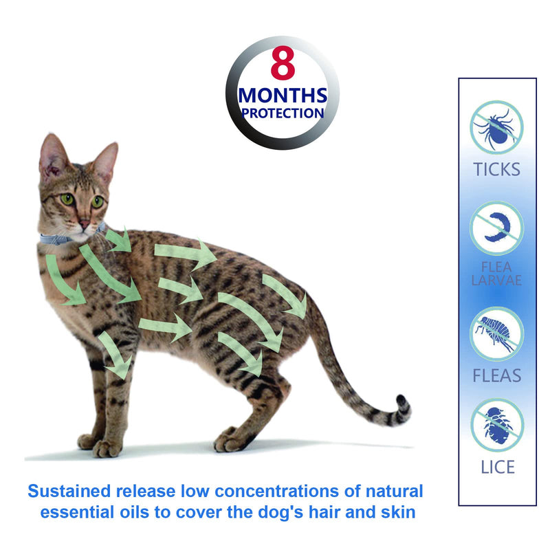 Fipukin Flea and Tick Collar for Cats, Natural and Safe Flea and Tick Collar for Cats, Waterproof, One Size Fits All, Free Comb and Tick Removal Tool, Charity! 1-Pack - BeesActive Australia