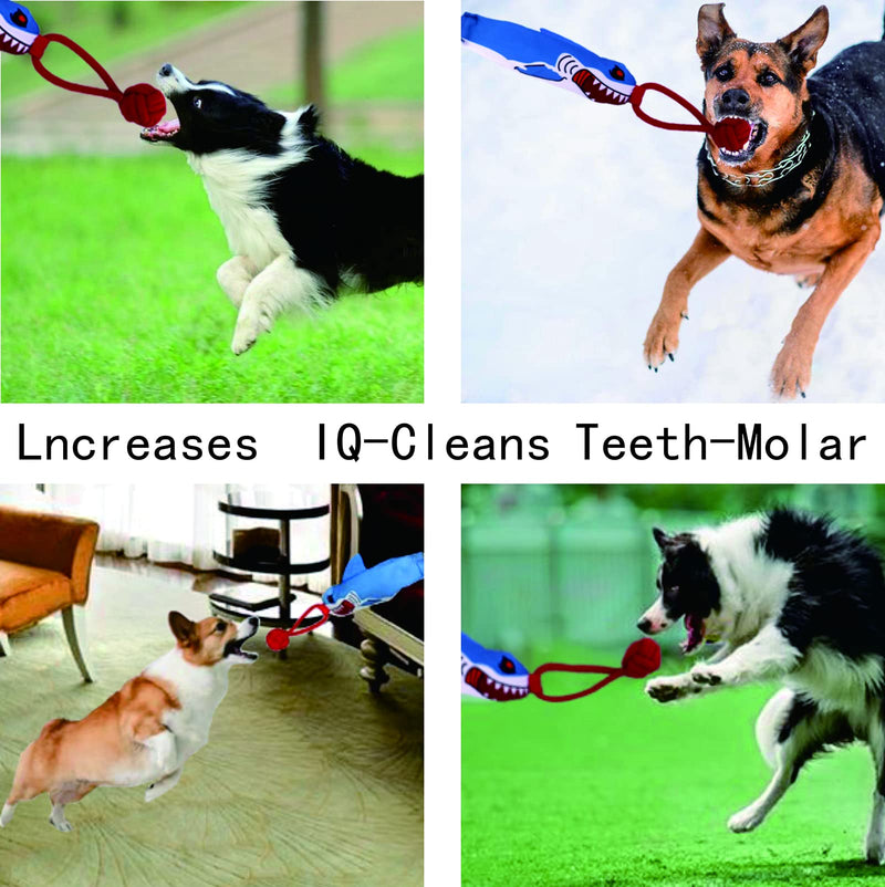 Yizocenguo Dog Rope Toys, Dog Chew Toys for Aggressive chewers,Tug of war Dog Toy, Dog Squeaky Toys, Tough Durable Pull Toys for Small Dogs (Shark) - BeesActive Australia