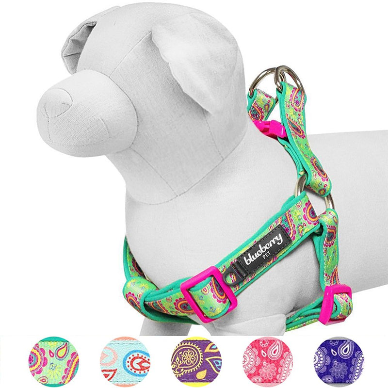 Blueberry Pet 7 Patterns Soft & Comfy Flower Print Neoprene Padded Dog Harnesses (16.5" - 21.5") Chest Girth (Pack of 1) Emerald Green - BeesActive Australia