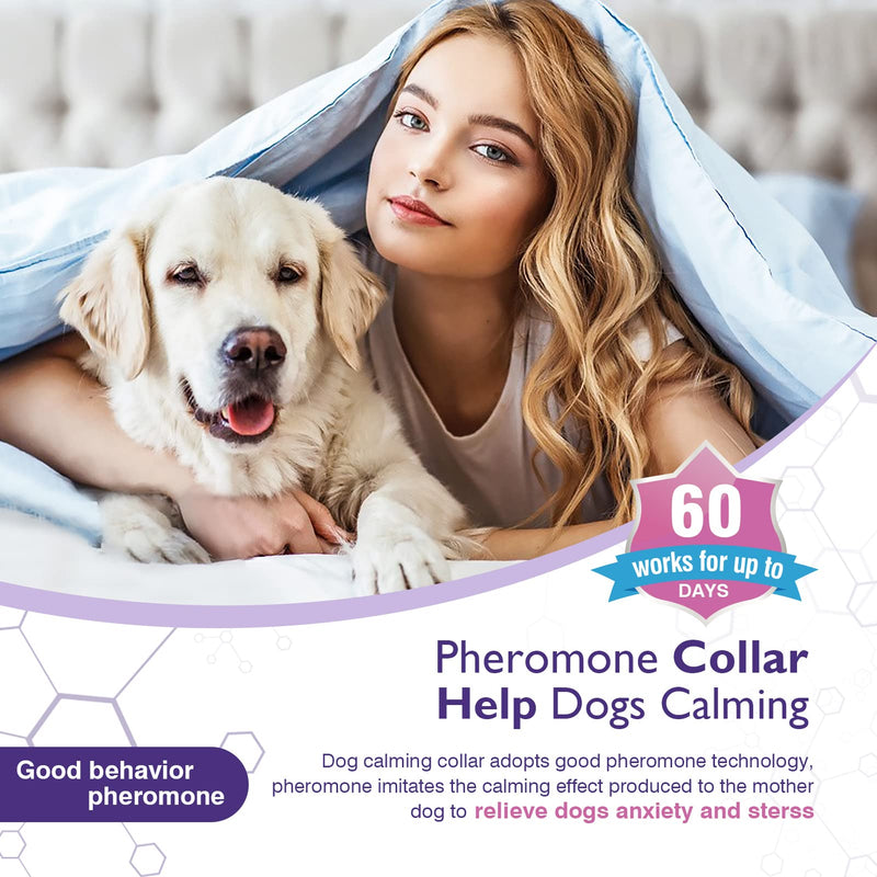 Dogs Calming Pheromones Collar 3 Packs Lasts 60 Days Relieve Reduce Anxiety or Stress 25 Inches Adjustable Relaxing Comfortable Collar Breakaway Design for All Small Medium and Large Dog Purple - BeesActive Australia