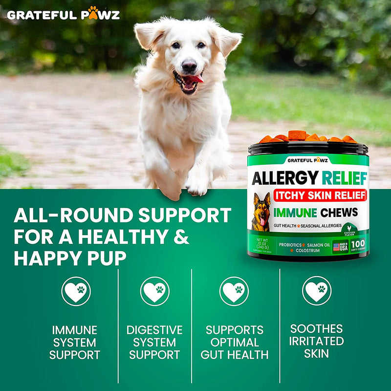 Dog Allergy Relief Chews - Dog Itch Relief - Probiotics, Omega 3 Fish Oil + Colostrum - Itchy Skin Relief - Seasonal Allergies - Anti Itch Support & Hot Spots - Immune Health Supplement - Made in USA - BeesActive Australia