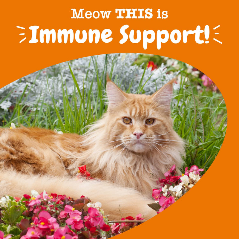 Zesty Paws Aller-Immune Soft Chews for Cats - with L-Lysine, EpiCor, Astragalus Root, Quercetin & Antioxidants - Advanced Functional Supplement for Cat Immune Support - Bacon Flavor - 60 Count - BeesActive Australia