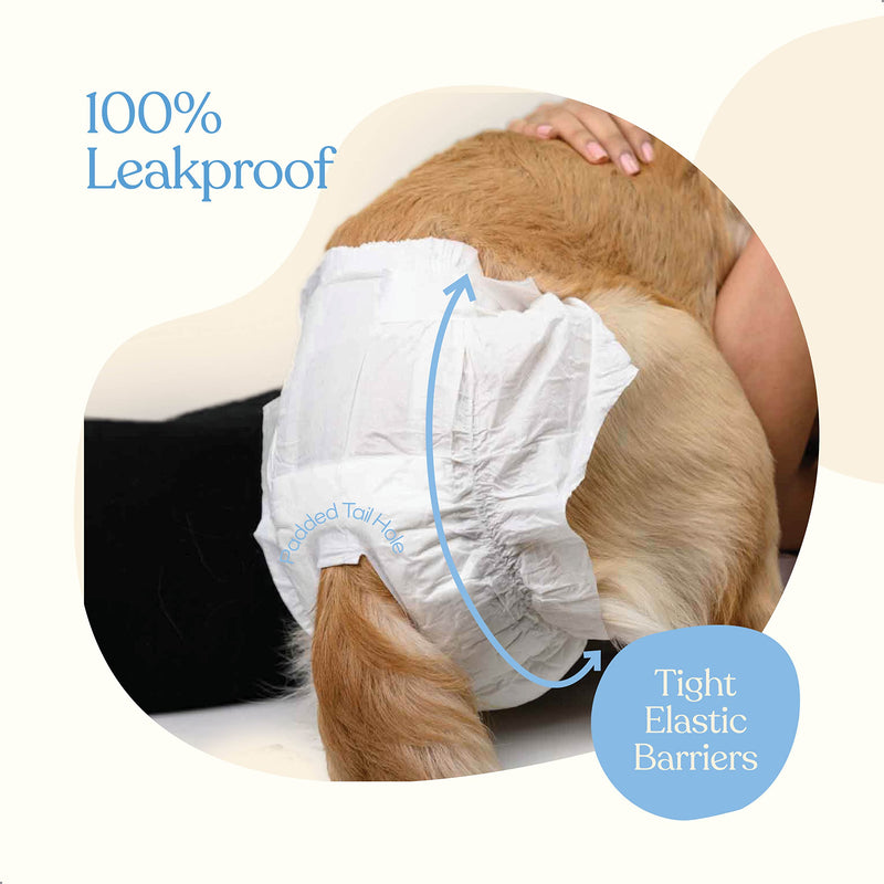 Comfortable Female Dog Diapers - Super Absorbent Disposable Doggie Diapers - FlashDry Gel Technology & Wetness Indicator - Leakproof Diapers for Dogs in Heat, Excitable Urination, Incontinence Small 24.0 - BeesActive Australia