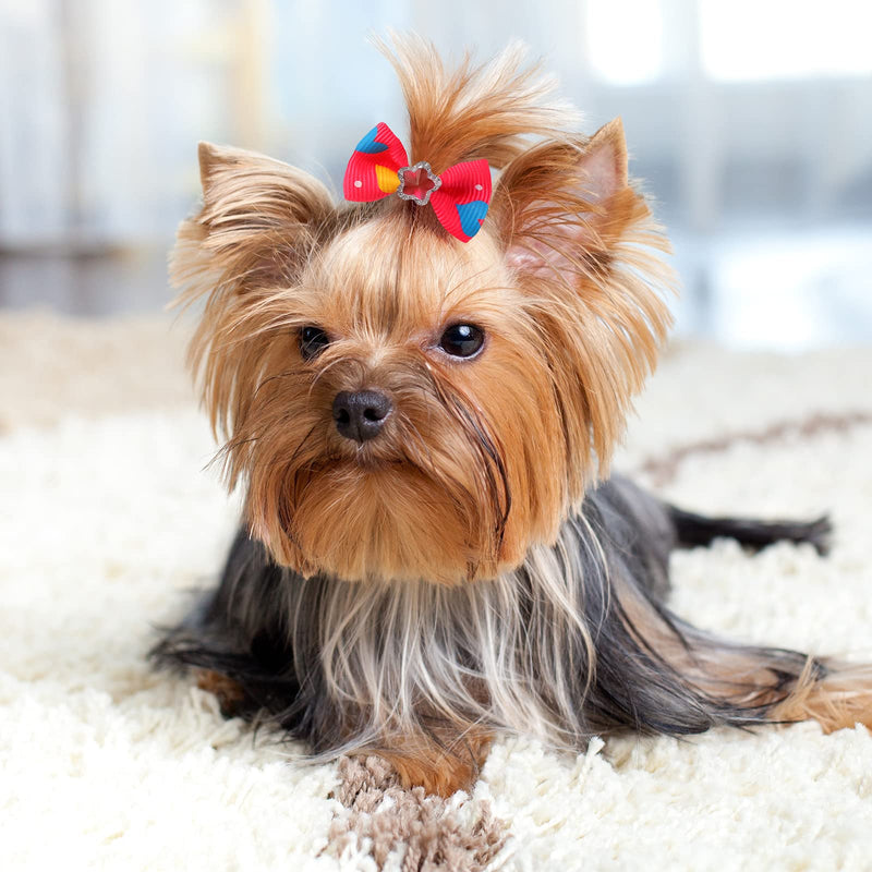 Reginary 300 Pcs Dog Bows Grooming Cute Dog Hair Bows Girl with Rubber Bands Small Puppy Bowknots Colorful Hair Accessories for Dogs Puppies Pets - BeesActive Australia