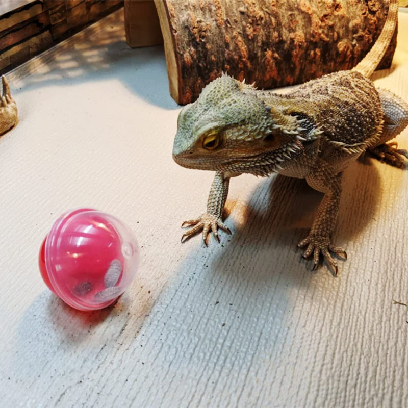 CooShou Lizard Bearded Dragon Feeding Toys Ball Reptile Food Toys Ball Lizard Interactive Toys for Bearded Dragon, Lizard, Gecko and Small Animals 6Pcs - BeesActive Australia