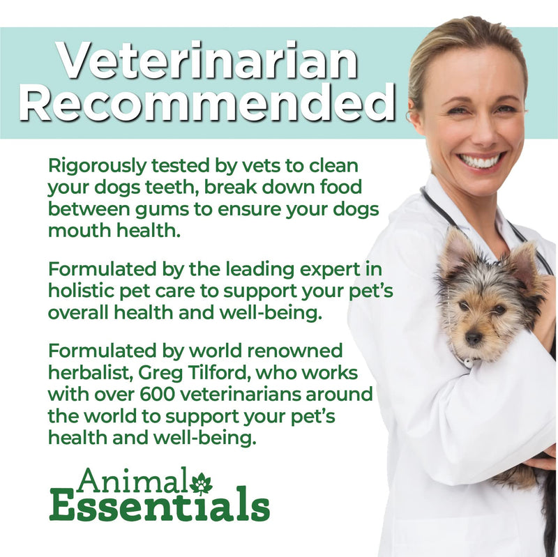 Animal Essentials Pet Supplements for Dog and Cat 2 fl oz (60 ml) - BeesActive Australia