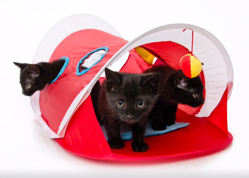 Hartz Just for Cats Peek & Play Pop-Up Cat Tent Toy - BeesActive Australia