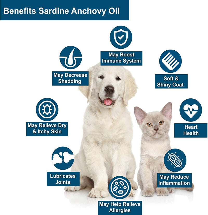 Iceland Pure Unscented Pharmaceutical Grade Sardine Anchovy Oil For Dogs And Cats.Bottle Size 8.75Oz - BeesActive Australia