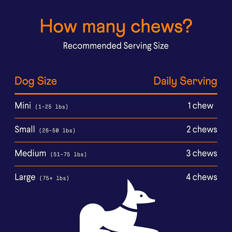 Finn All-in-1 Dog Multivitamin - Everyday Vitamin Supplement for Dogs with Probiotics, Omega-3s, Glucosamine + Chondroitin | Gut & Immune Health, Joint Support, Heart Health | 90 Soft Chew Treats - BeesActive Australia