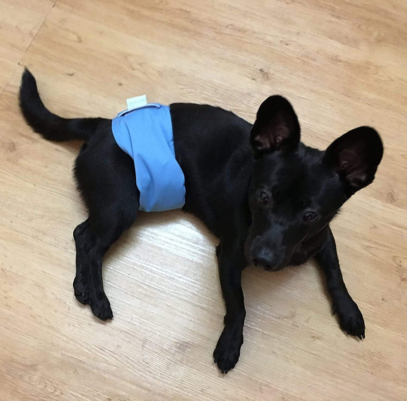 IN HAND Washable Male Dog Diapers(Pack of 3), Premium Reusable Belly Bands for Male Dogs, Durable Male Dog Belly Wrap, Comfy Doggie Diapers S(13"-17") Popular Color - BeesActive Australia