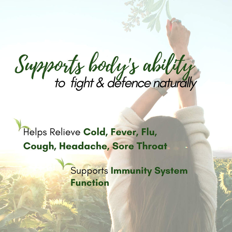 GinSen Gan Mao Qing Re Natural Immunity Booster Tea, Relieves Cold, Fever, Flu, Cough, Headache, Sore Throat, Remedy - 10 Sachets - BeesActive Australia