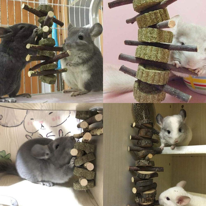 PeSandy Bunny Chew Toys for Teeth, Organic Apple Wood Molar Sticks with Timothy Hay Circles for Bunny Chinchilla Guinea Pig Hamsters Holland Lop Prairie Dogs Squirrels, Improves Dental Health 2 PCS Apple Stick String - BeesActive Australia