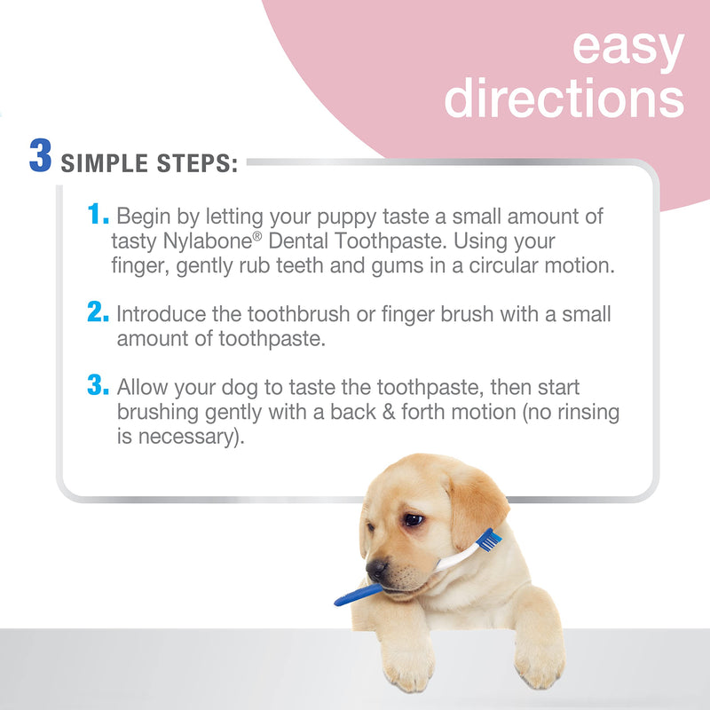 Nylabone Advanced Oral Care Puppy Dental Kit Puppy Original 3 Count - BeesActive Australia
