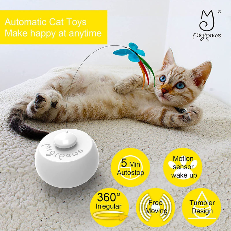 Migipaws Tunnel Cat Toys, Kitten Indoor Addict Interactive Movie with Automatic Butterfly Shadow Play, Innovation Pet Carton Box Toy, Rechargeable Butterfly cat toy - BeesActive Australia